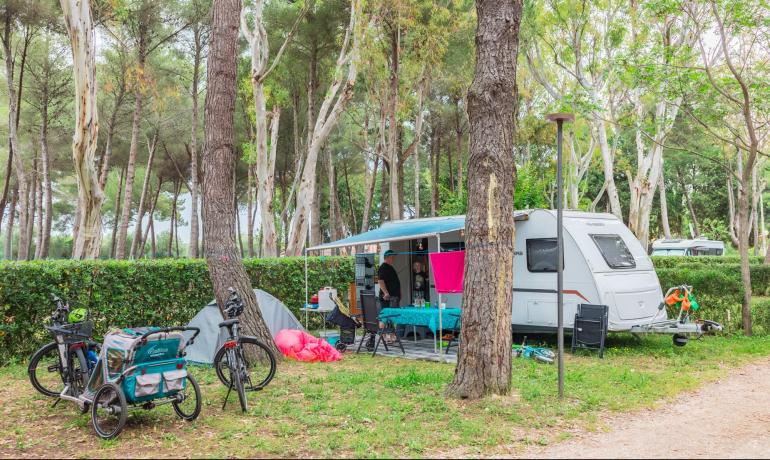 Campeggio con roulotte e biciclette in una foresta.